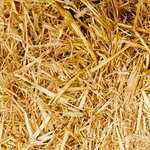 Голодные игры